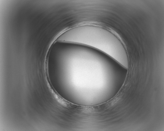 X0000076071050200609220948