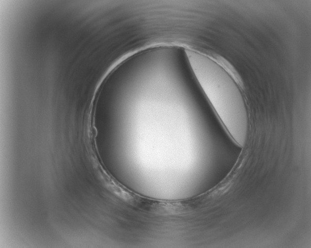 X0000076071052200609220948