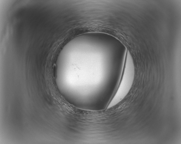 X0000076071057200609220947