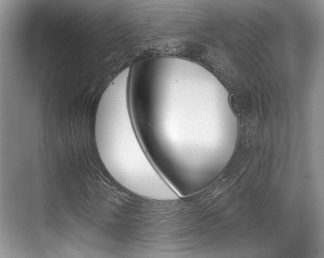 X0000076071058200609220947