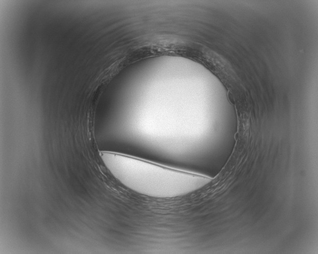 X0000076071060200609220947
