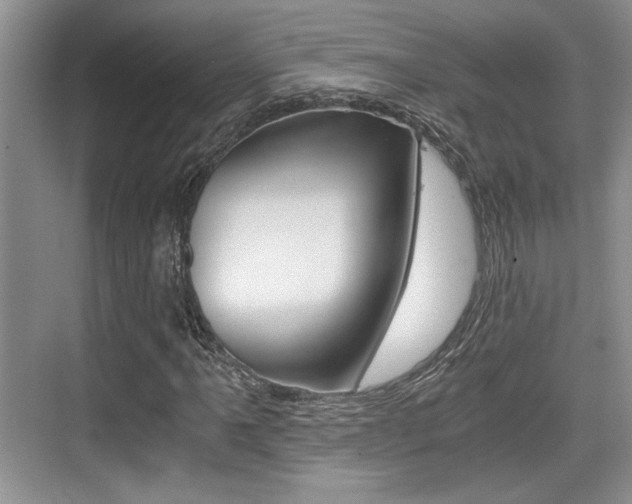 X0000076071061200609220947