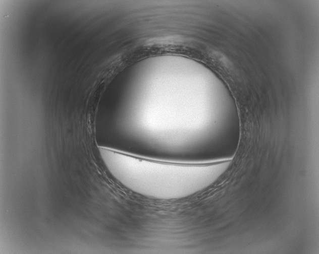 X0000076071062200609220947