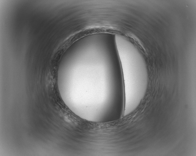 X0000076071064200609220947