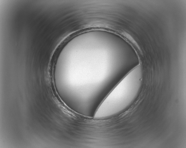 X0000076071068200609220947
