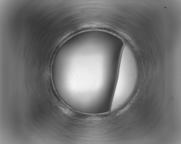 X0000076071073200609220947