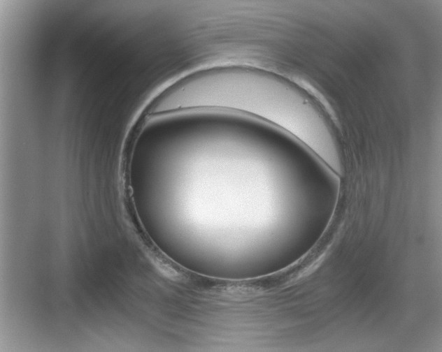 X0000076071077200609220947