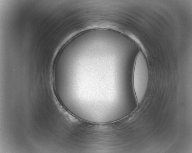 X0000076071088200609220947