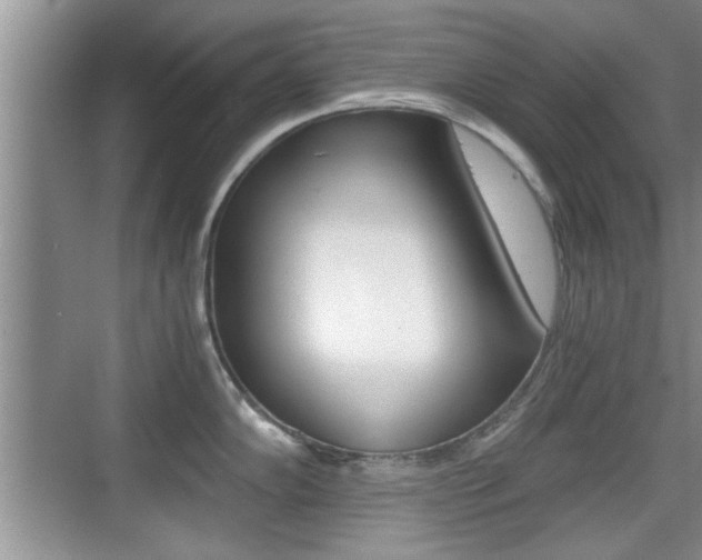 X0000076071102200609220947