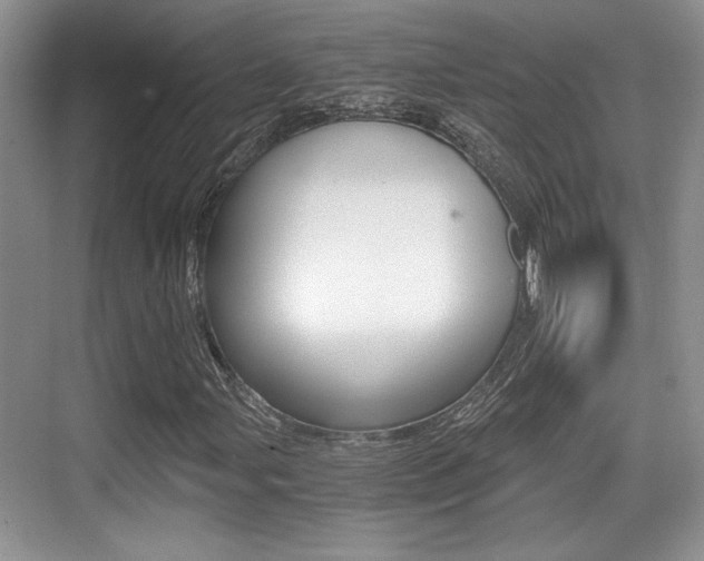 X0000076071107200609220946