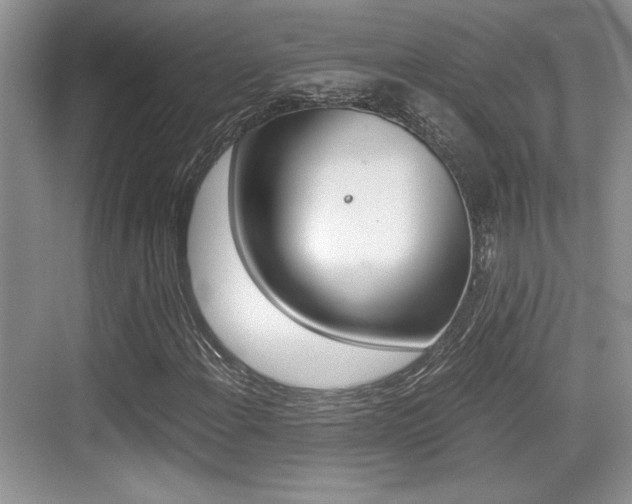 X0000076071108200609220946