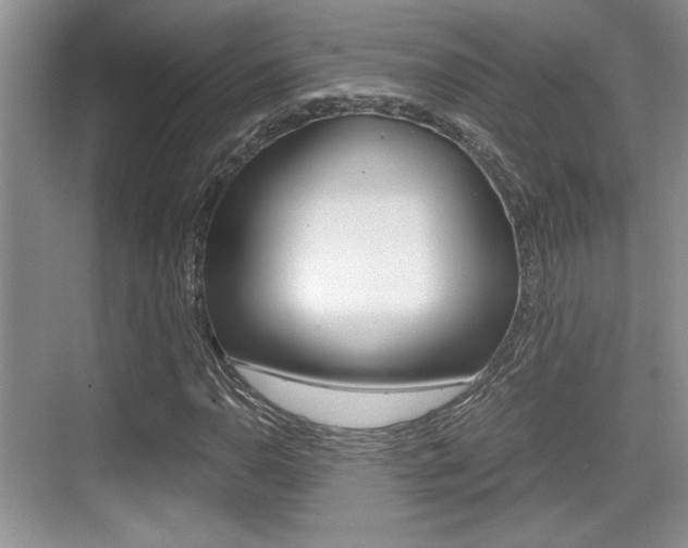 X0000076071110200609220946