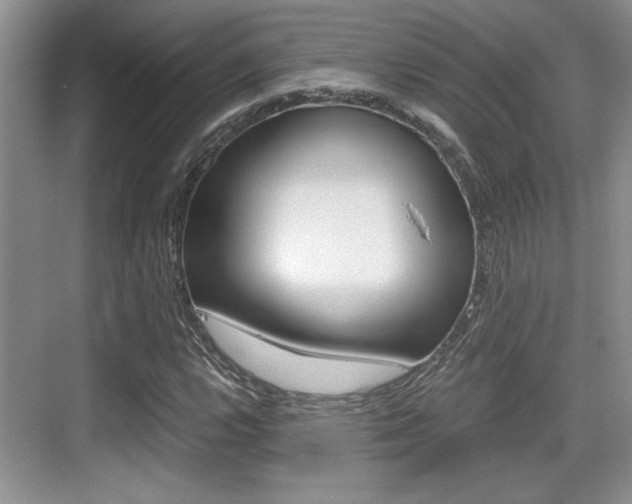 X0000076071112200609220946