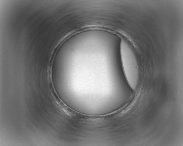 X0000076071121200609220946