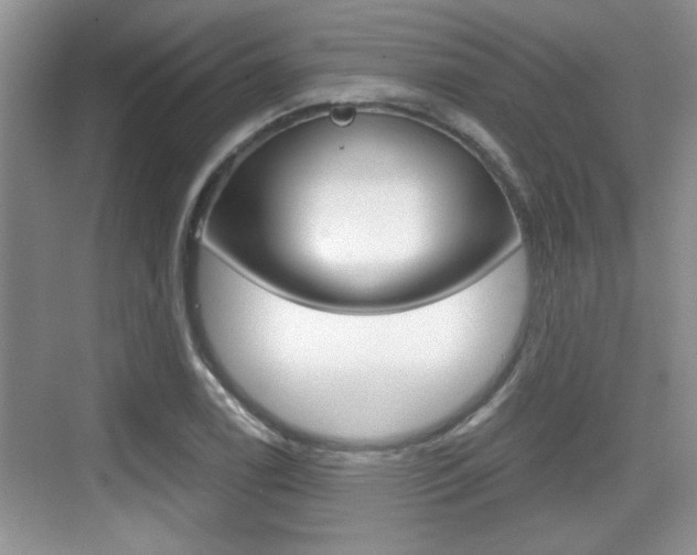 X0000076071122200609220946