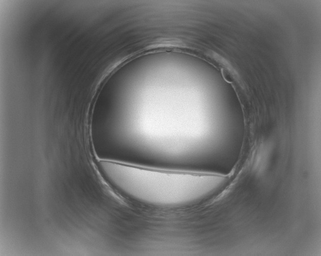 X0000076071129200609220946
