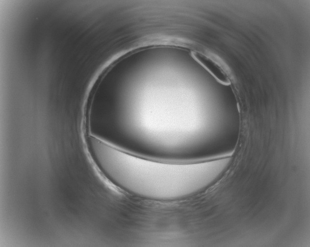X0000076071136200609220946