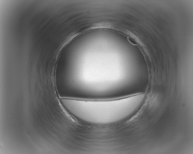 X0000076071137200609220946