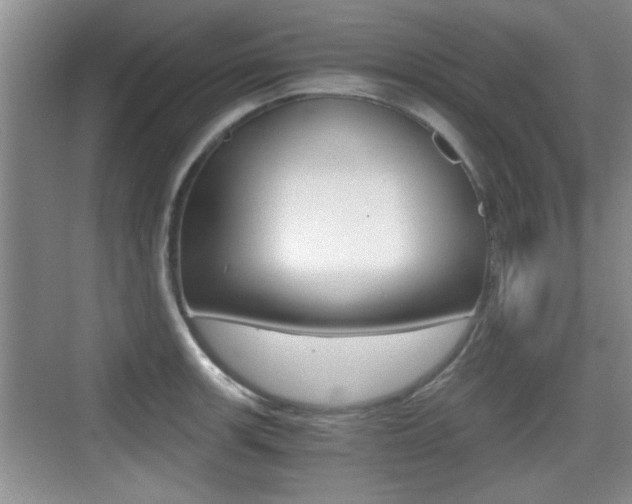 X0000076071139200609220946