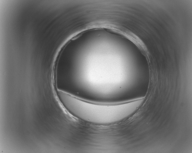 X0000076071144200609220947