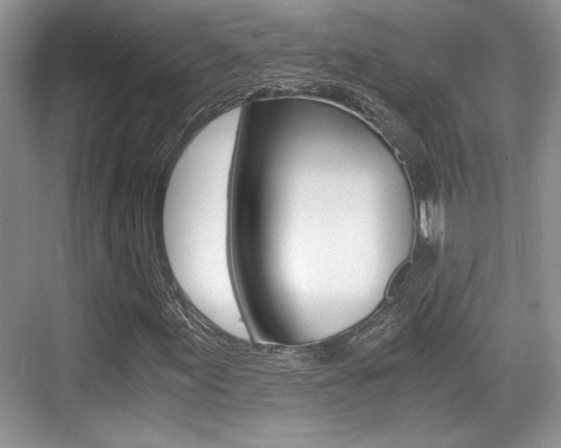X0000076071155200609220946