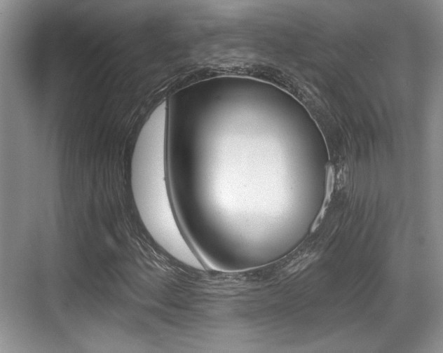 X0000076071156200609220946