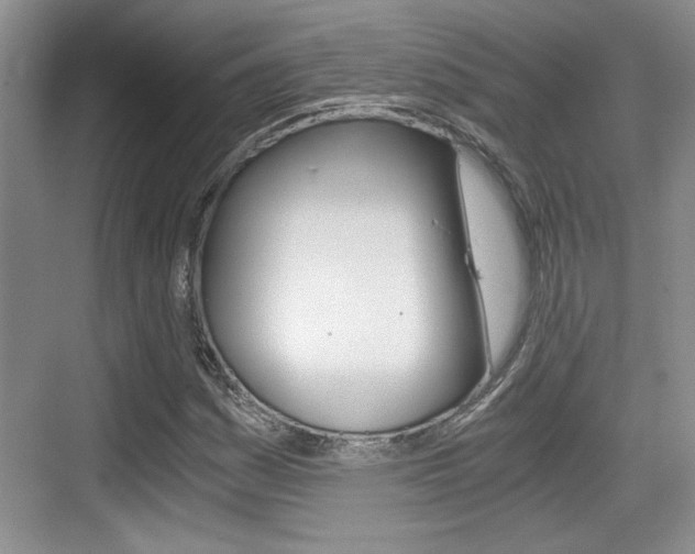 X0000076071161200609220946