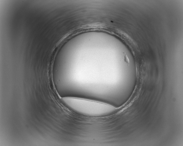 X0000076071162200609220946