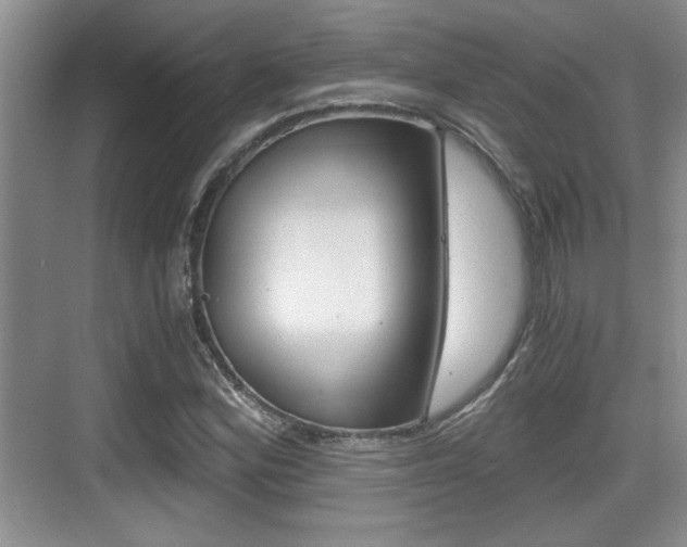 X0000076071164200609220946