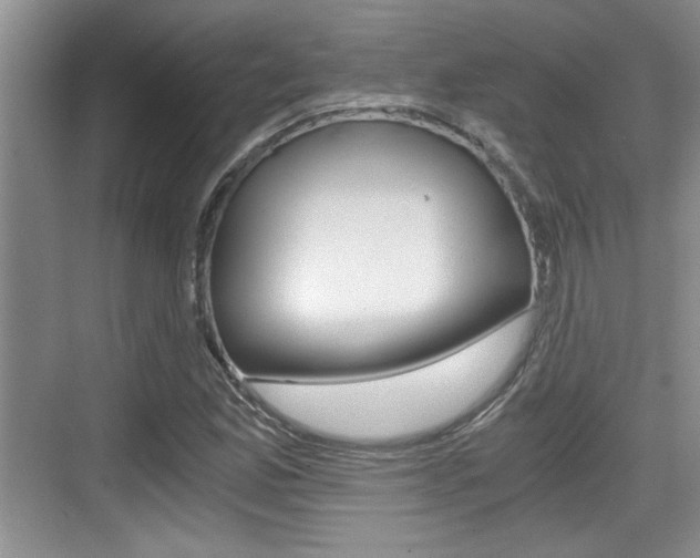 X0000076071165200609220946