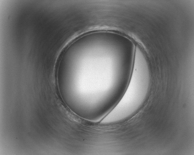 X0000076071173200609220945