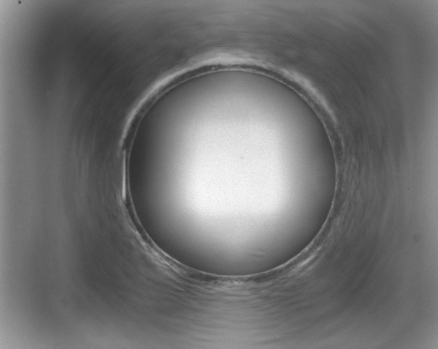 X0000076071175200609220945