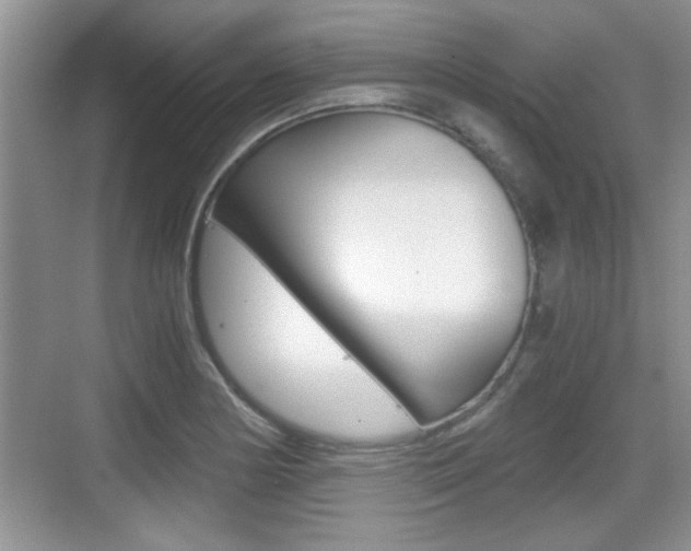 X0000076071178200609220945