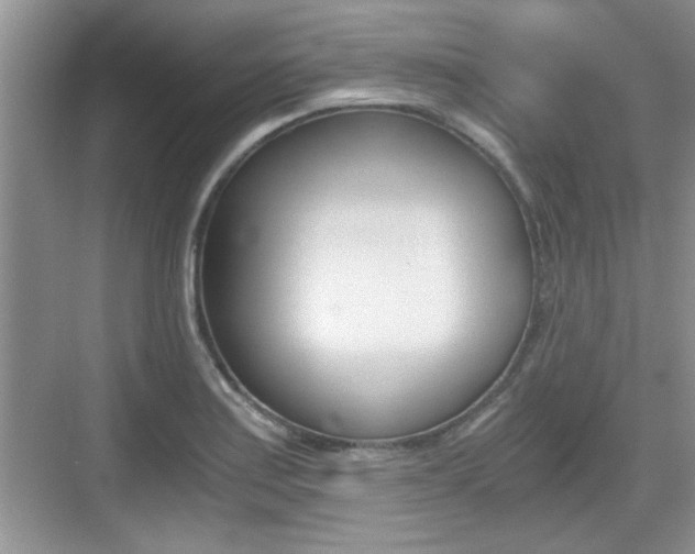 X0000076071179200609220945