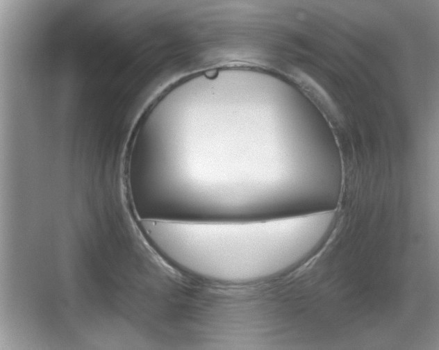X0000076071182200609220945