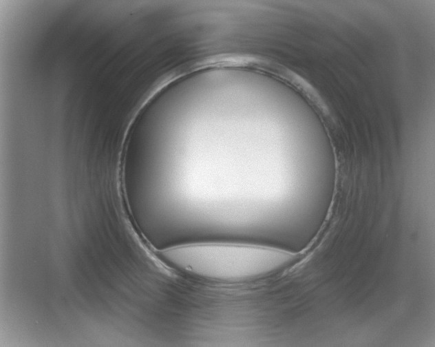 X0000076071186200609220945