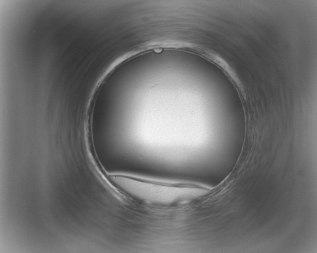 X0000076071187200609220945