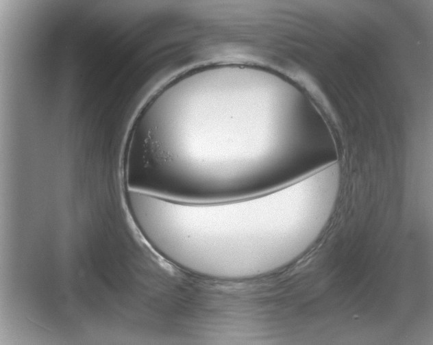 X0000076071191200609220945
