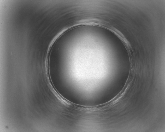 X0000076071196200609220945