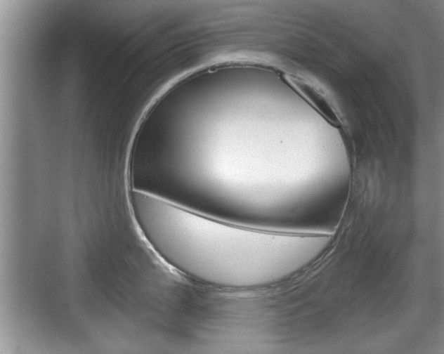 X0000076071199200609220945