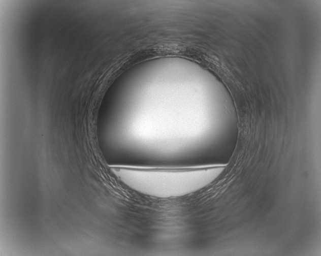 X0000076071201200609220944