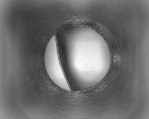 X0000076071204200609220944