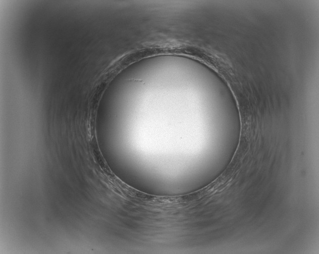 X0000076071205200609220944