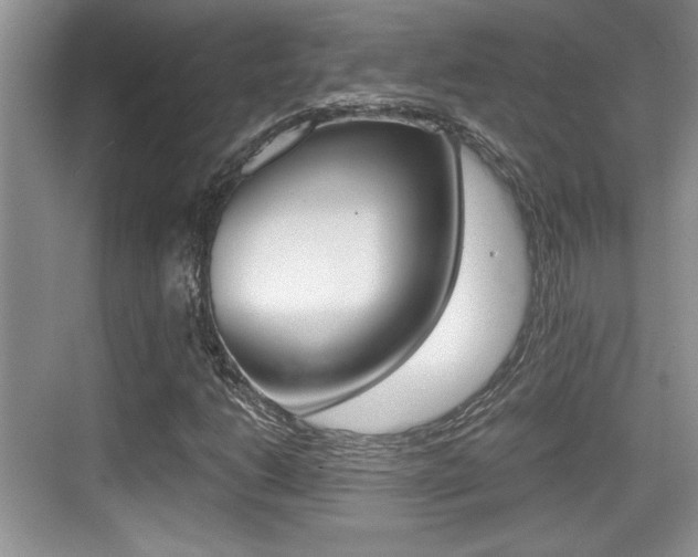 X0000076071206200609220944