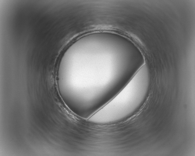 X0000076071212200609220944