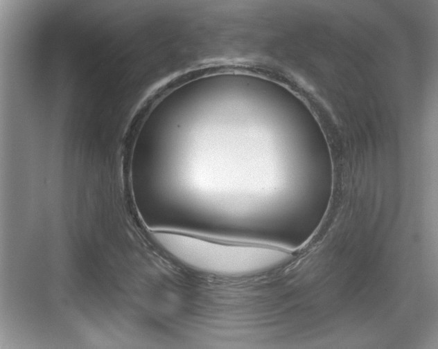 X0000076071214200609220944