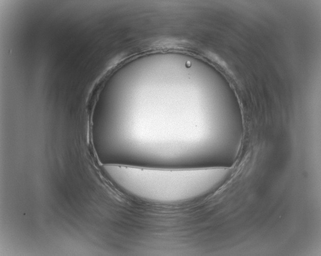 X0000076071219200609220945