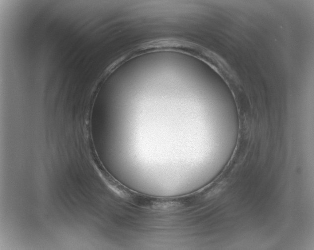 X0000076071225200609220945