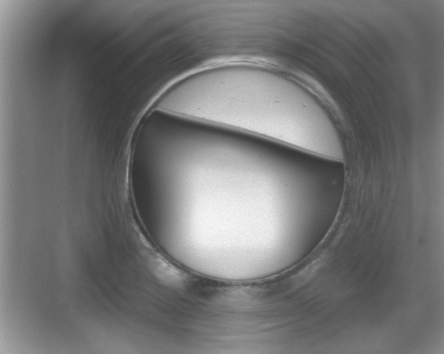 X0000076071228200609220945