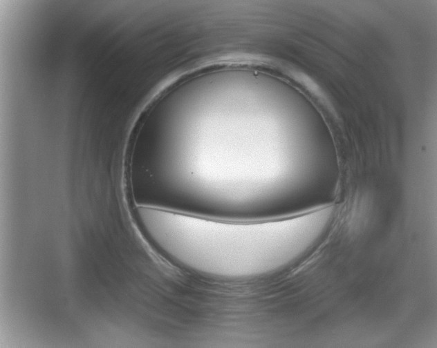 X0000076071229200609220945